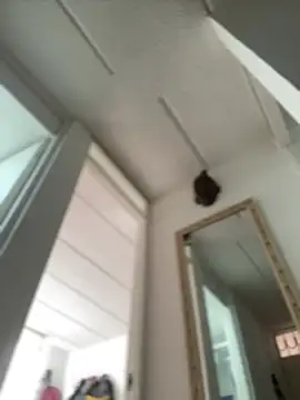 Snapshot of Mila_Morgan chatting on February 27, 2:43 pm Mila Morgan online show from February 27, 2:43 pm