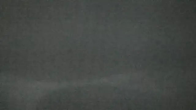 canela wet online show from February 14, 12:25 pm