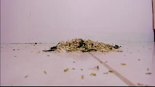 Snapshot of violeth_hill chatting on February 27, 11:26 pm violeth hill online show from February 27, 11:26 pm