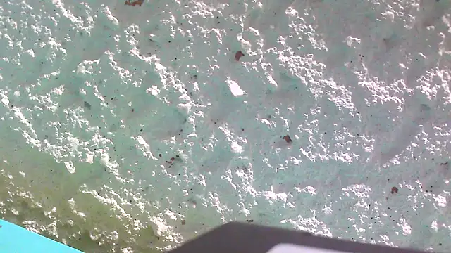 carolinesampaio online show from March 18, 6:36 am