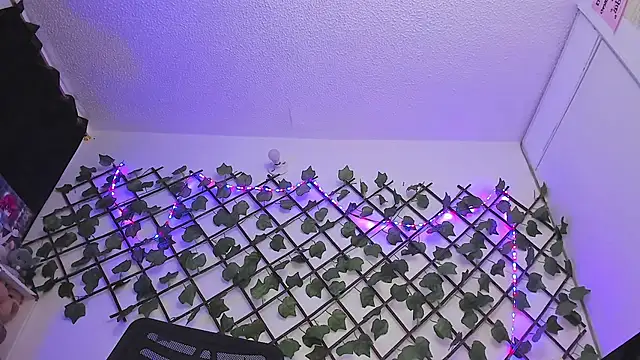 Pucaa  online show from January 18, 12:46 am