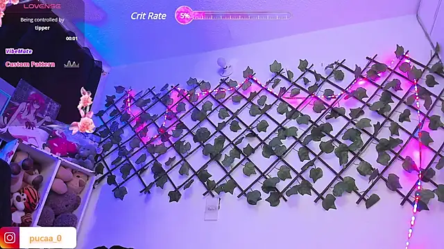 Pucaa  online show from January 28, 12:57 am