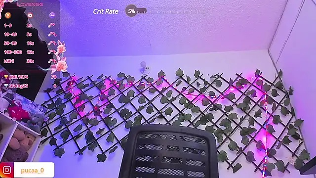 Pucaa  online show from January 30, 4:48 am