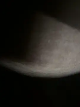 Bongcrush 3 online show from March 8, 1:17 am