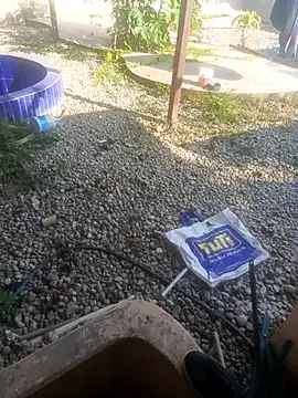 CuchiCuchi online show from September 12, 9:04 pm