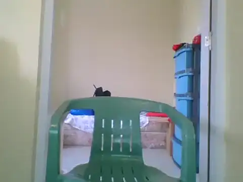 the geisha 2021k online show from January 27, 12:48 pm