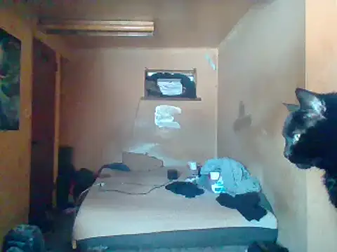 Nightshade7712 online show from February 4, 5:55 pm