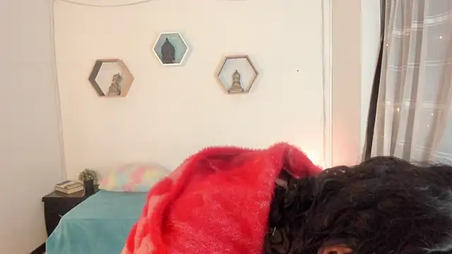 Paloma victory online show from February 14, 12:41 am