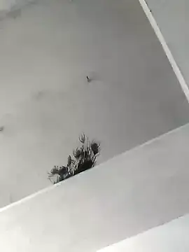 Mafiya1604 online show from October 22, 5:30 am