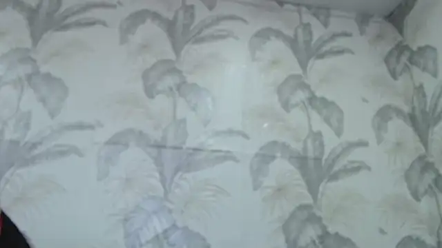 CamDiva113 online show from February 8, 10:07 am