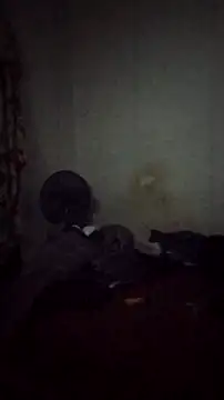 Flaquito pitudo online show from December 9, 8:22 am