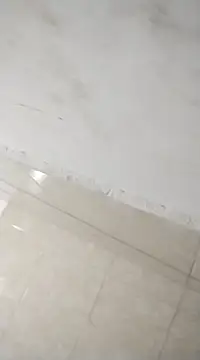 Flaquito pitudo online show from February 25, 12:03 pm