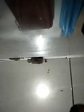 Flaquito pitudo online show from March 1, 11:50 am