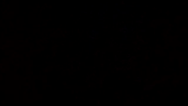 Flaquito pitudo online show from March 9, 9:57 am