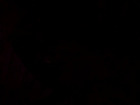 Flaquito pitudo online show from March 12, 8:30 am