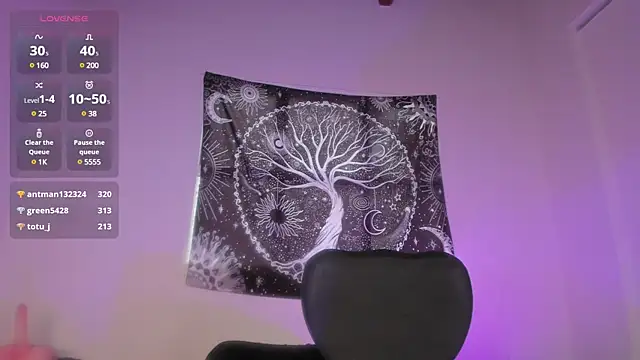 Snapshot of AramJoness chatting on December 13, 4:27 pm AramJoness online show from December 13, 4:27 pm