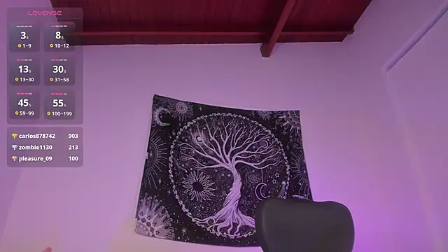 Snapshot of AramJoness chatting on December 17, 9:50 am AramJoness online show from December 17, 9:50 am