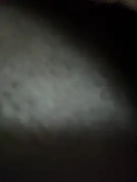 Snapshot of RiriRoseey chatting on November 19, 8:36 am RiriRoseey online show from November 19, 8:36 am