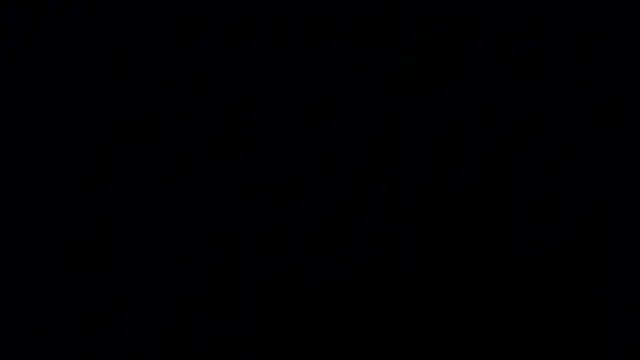 zacwatson  online show from January 24, 6:03 am