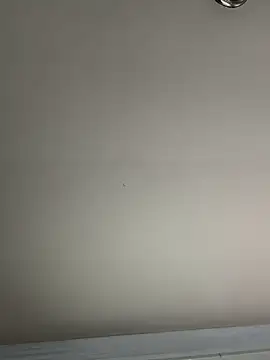 Snapshot of El_Gizmo chatting on January 8, 7:24 pm El Gizmo online show from January 8, 7:24 pm