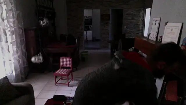 pachapeter online show from February 23, 1:42 pm