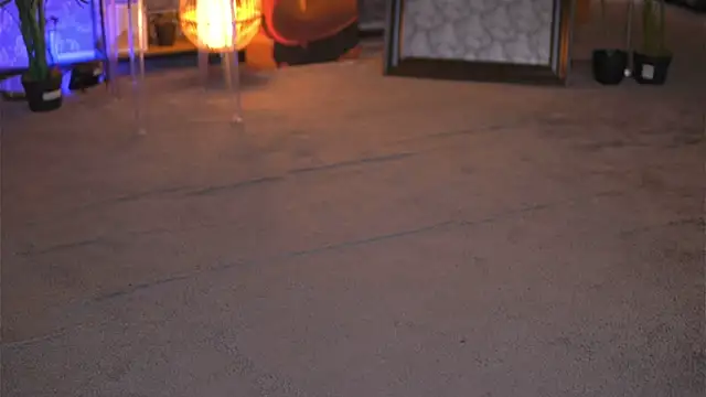 EvaZane online show from January 29, 3:04 pm