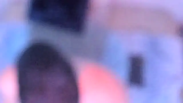 Snapshot of stillwild chatting on December 14, 10:20 am stillwild online show from December 14, 10:20 am