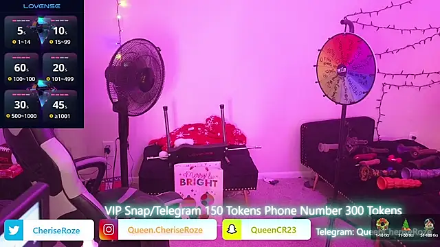 Snapshot of cheriserozequeen chatting on December 22, 10:25 pm cheriserozequeen online show from December 22, 10:25 pm
