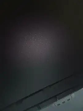 Snapshot of niesmialy39oon chatting on September 11, 5:07 am niesmialy39oon online show from September 11, 5:07 am