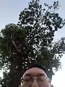 Natanzinhoz online show from December 3, 8:07 pm