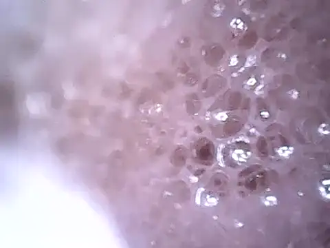 Snapshot of Beijing2000 chatting on December 19, 2:45 am Beijing2000 online show from December 19, 2:45 am