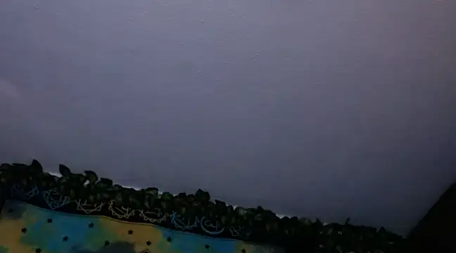 chanel 1041 online show from December 26, 8:00 pm