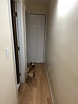 DaddySnowXX online show from December 16, 11:33 am