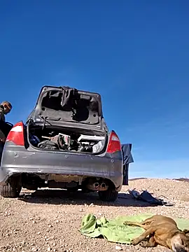 FloppyPickle4u online show from February 15, 9:37 pm