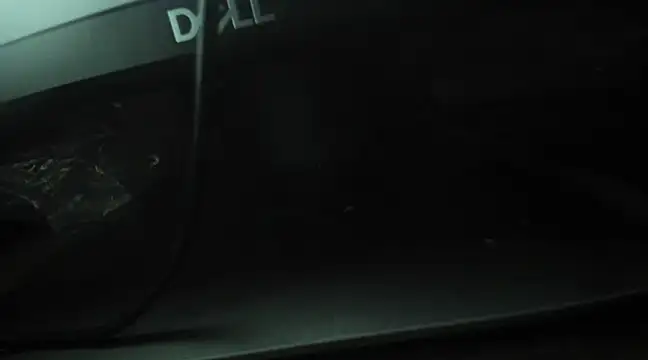 Emma-Wilson online show from February 4, 10:54 am