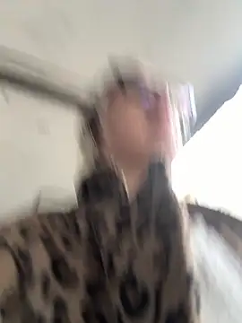 casalinga88 online show from October 21, 11:11 am