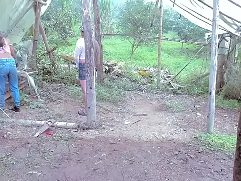 tayiro r online show from November 15, 2:13 pm