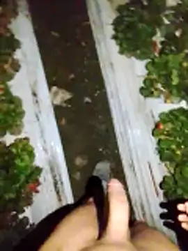 Snapshot of dfff125ff chatting on November 13, 5:39 am dfff125ff online show from November 13, 5:39 am