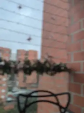 Snapshot of ValerieHilton chatting on December 27, 10:59 pm ValerieHilton online show from December 27, 10:59 pm