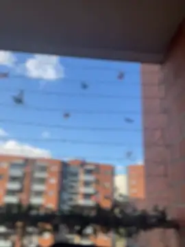 Snapshot of ValerieHilton chatting on January 18, 9:45 pm ValerieHilton online show from January 18, 9:45 pm