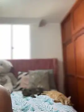 Snapshot of ValerieHilton chatting on March 12, 9:13 pm ValerieHilton online show from March 12, 9:13 pm