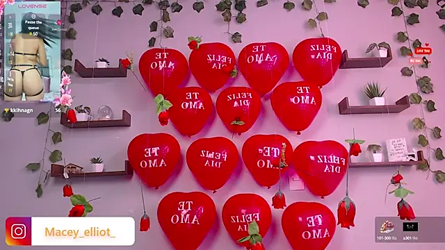 macey elliot  online show from February 15, 2:55 pm