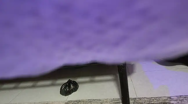 Snapshot of sweet-greedy chatting on February 6, 5:19 pm sweet-greedy online show from February 6, 5:19 pm