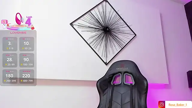 Rose baker  online show from November 15, 12:23 pm