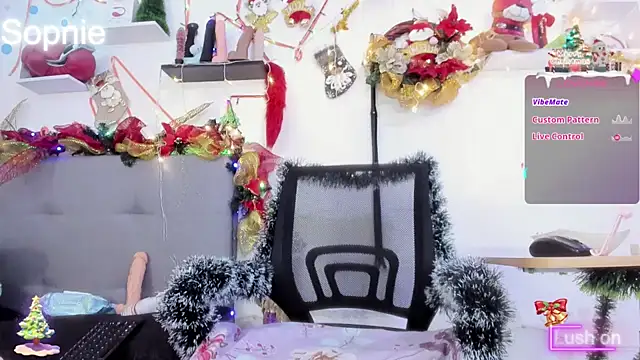 Snapshot of Sophiehuntress chatting on December 17, 4:56 am Sophiehuntress online show from December 17, 4:56 am