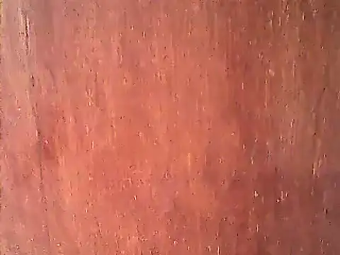 Dirtychubby29 online show from January 14, 4:25 am