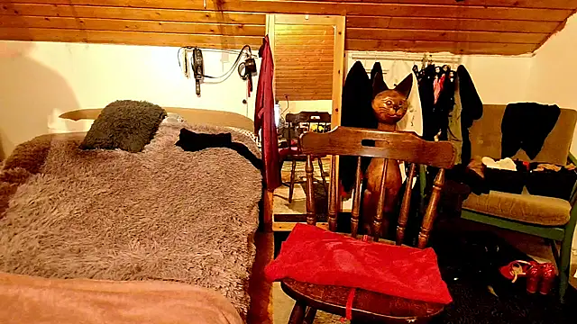 Snapshot of Hot_Colettte chatting on January 24, 1:24 am Hot Colettte online show from January 24, 1:24 am