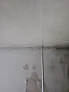 gordito xx online show from January 18, 6:03 am