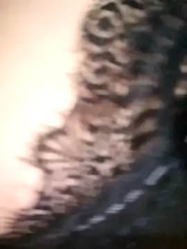 tahra-19 online show from December 17, 4:21 pm