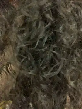 Antoniart  online show from February 9, 6:54 am